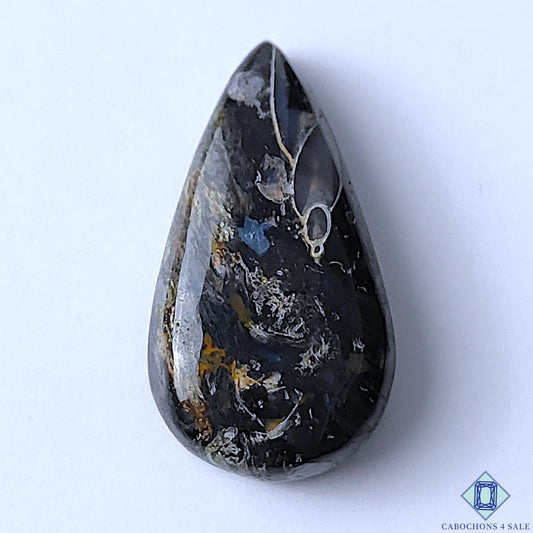 Palm Root Agate