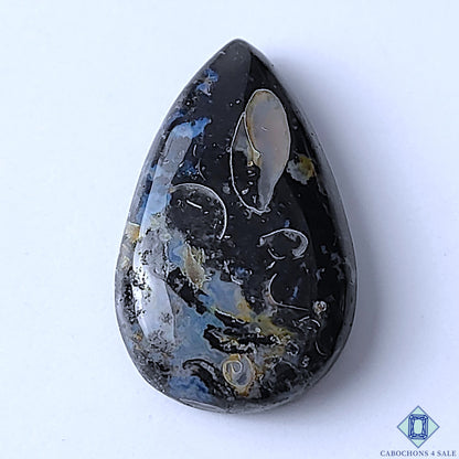 Palm Root Agate