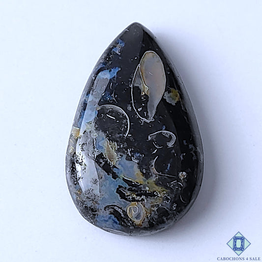 Palm Root Agate