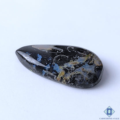 Palm Root Agate