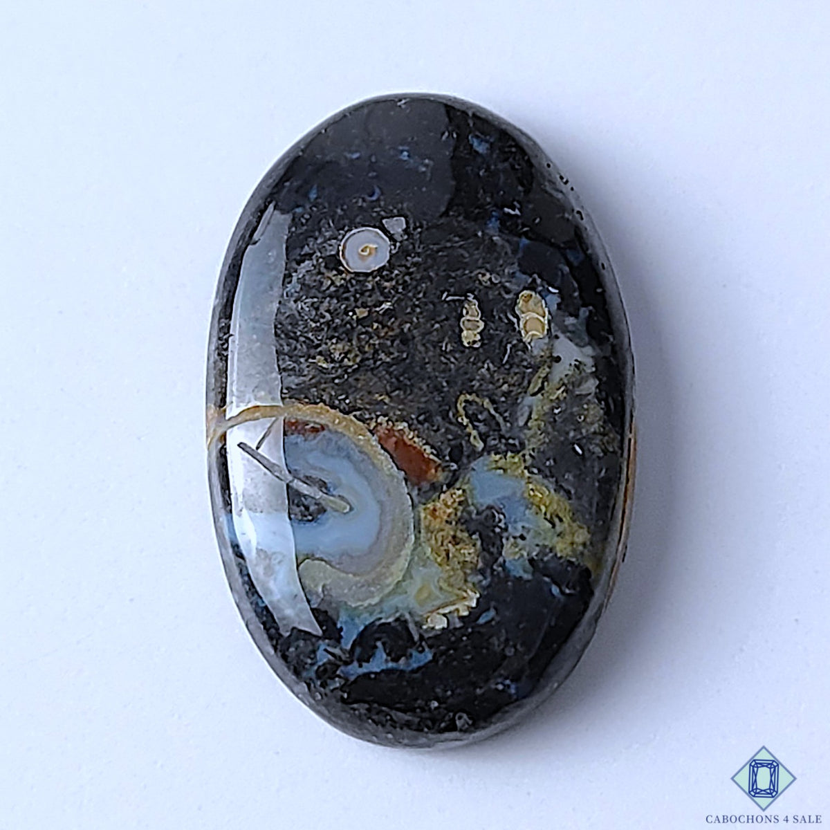 Palm Root Agate