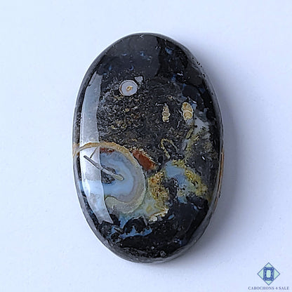 Palm Root Agate