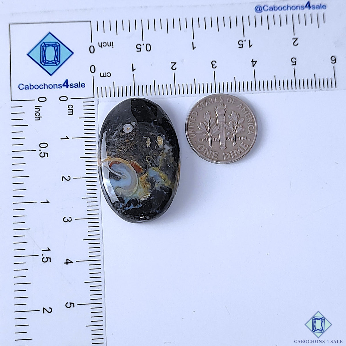 Palm Root Agate