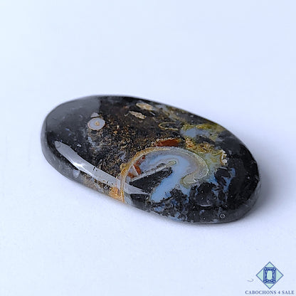 Palm Root Agate