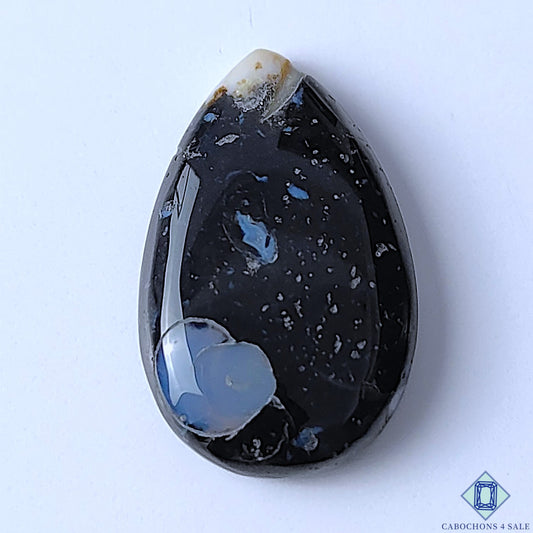 Palm Root Agate