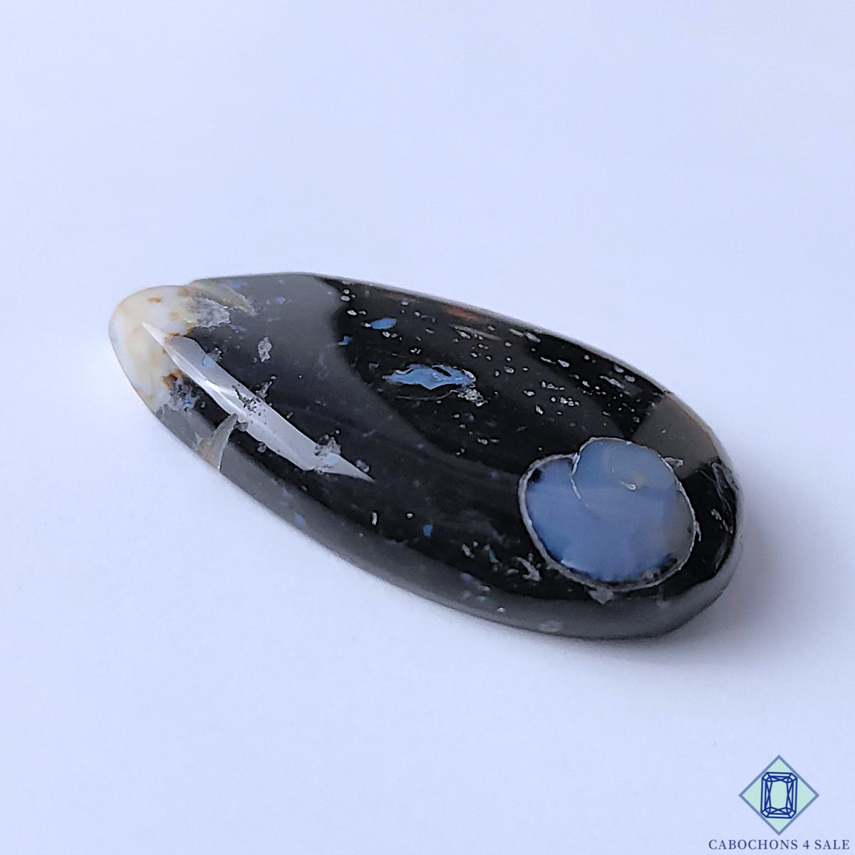 Palm Root Agate