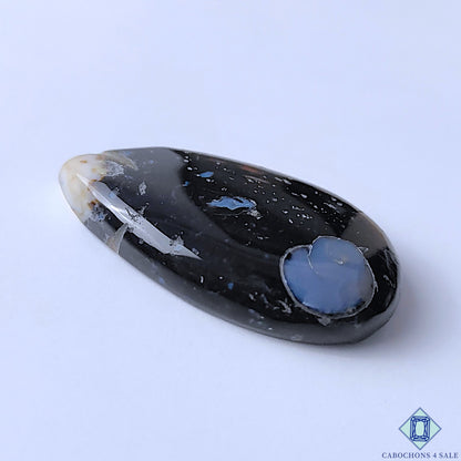 Palm Root Agate