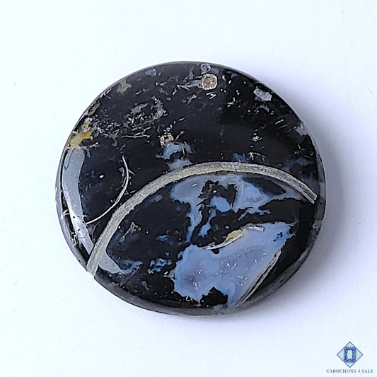 Palm Root Agate