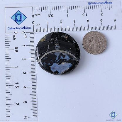 Palm Root Agate