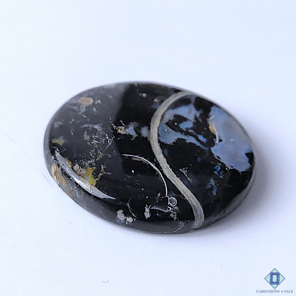 Palm Root Agate