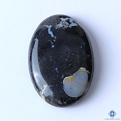 Palm Root Agate