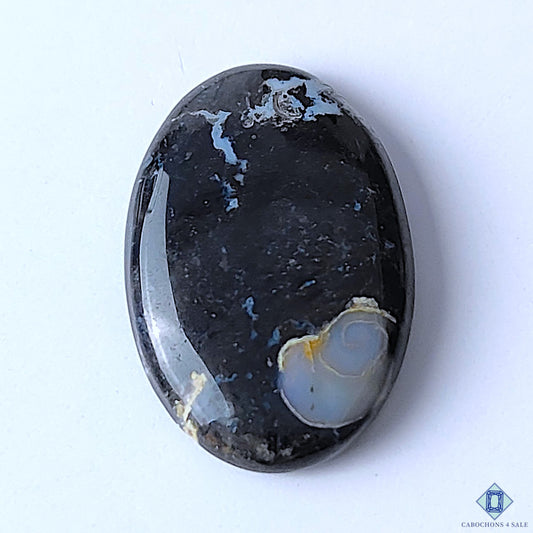 Palm Root Agate