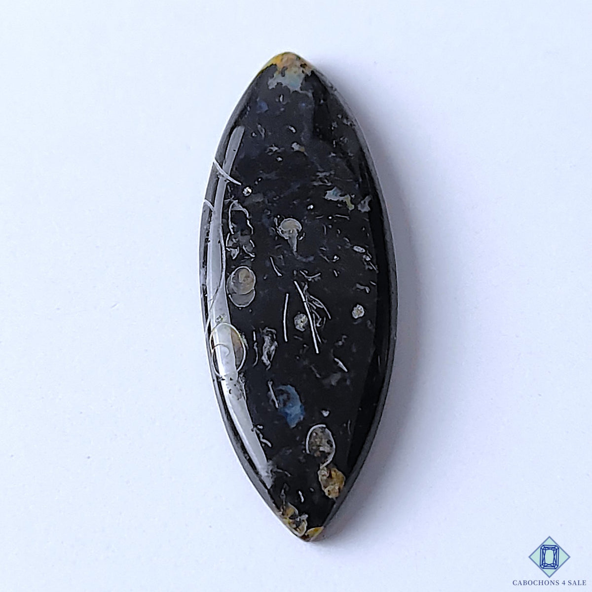 Palm Root Agate