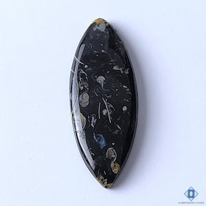 Palm Root Agate Marquise Cabochons 37x14x4mm