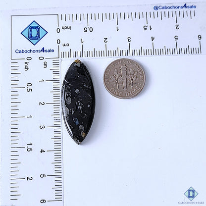 Palm Root Agate