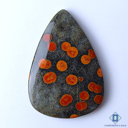 Peanut Obsidian