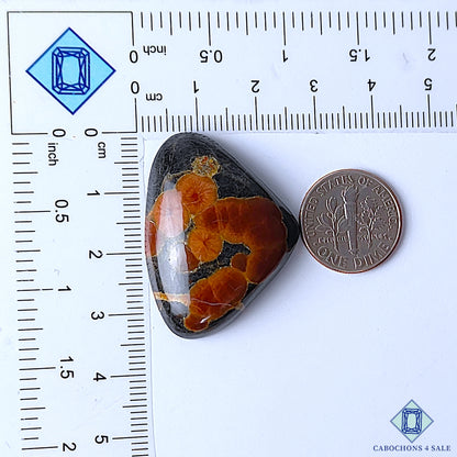 Peanut Obsidian