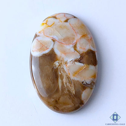 Peanut Wood Jasper