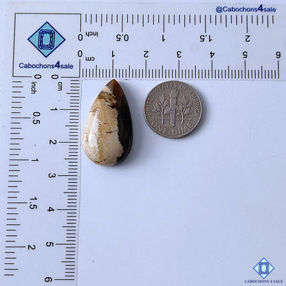 Peanut Wood Jasper