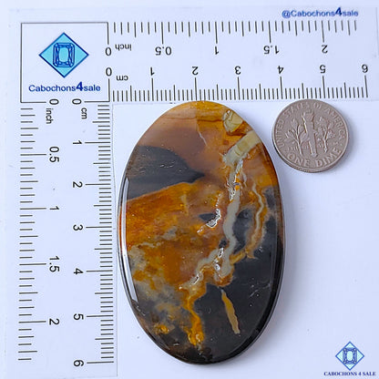 Petrified Palm Root Agate