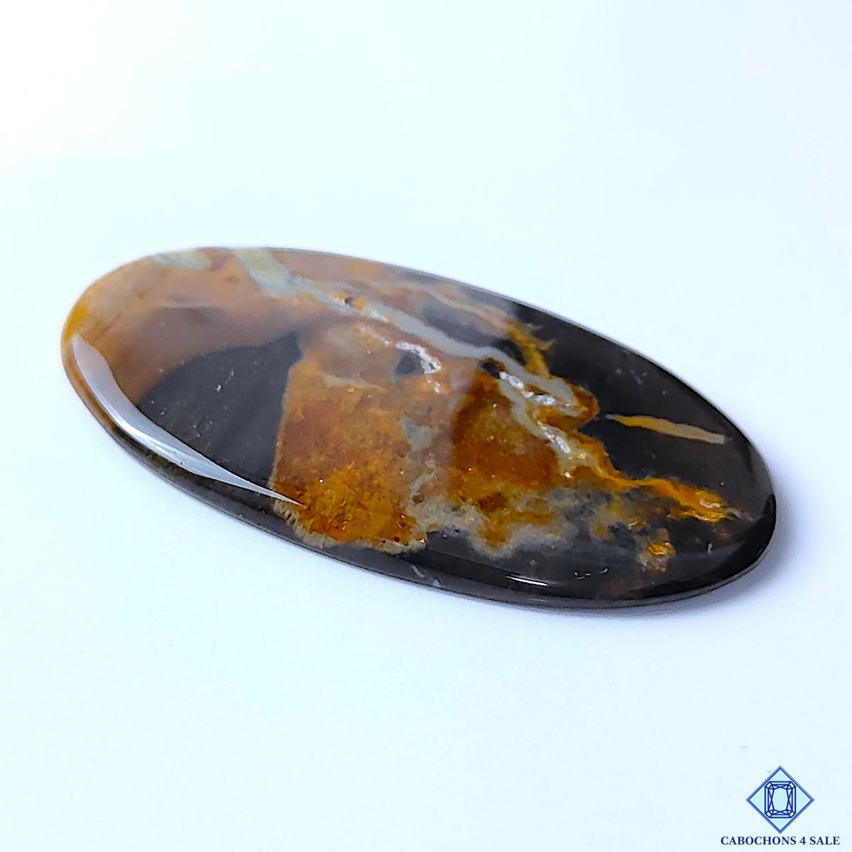 Petrified Palm Root Agate