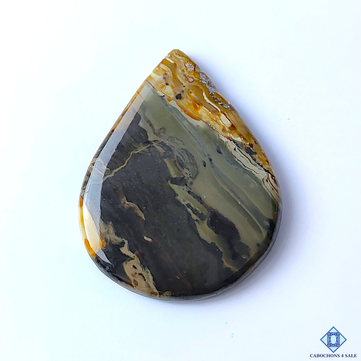 Petrified Palm Root Agate