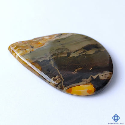 Petrified Palm Root Agate
