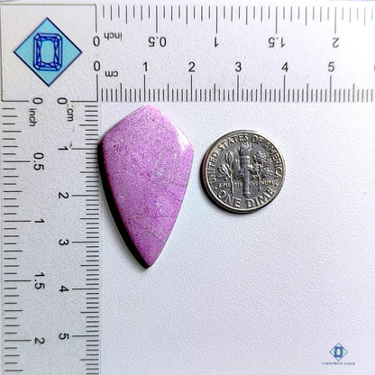 Phosphosiderite Kite Cabochons