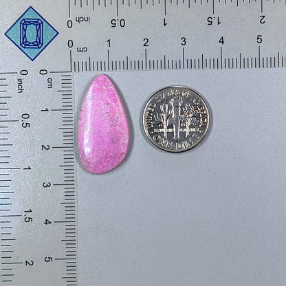 Phosphorite Pear Cabochons