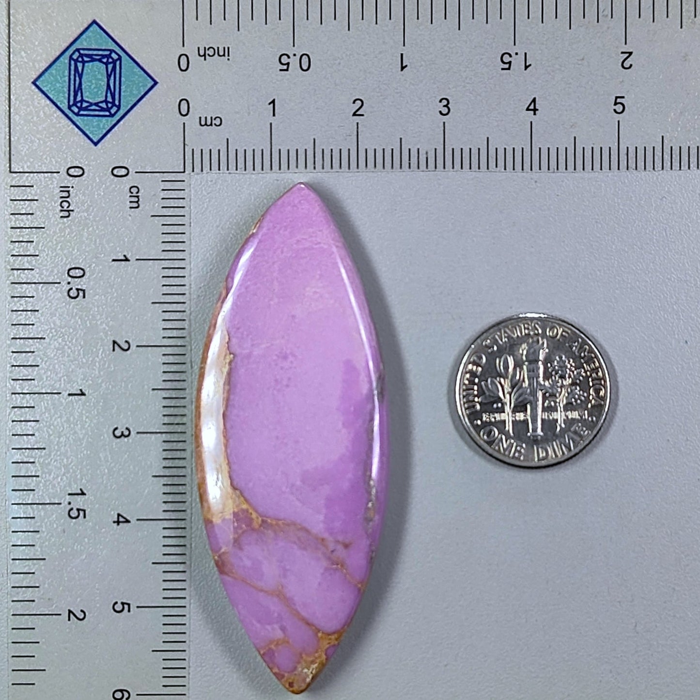 Phosphorite Marquise Cabochons