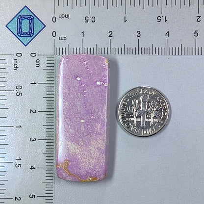 Phosphorite Rectangle Cabochons