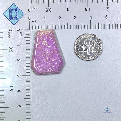 Phosphorite Coffin Cabochons