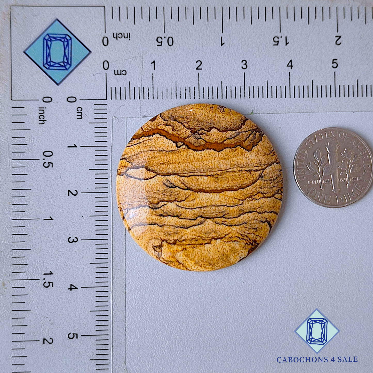 Picture Jasper Round Cabochons