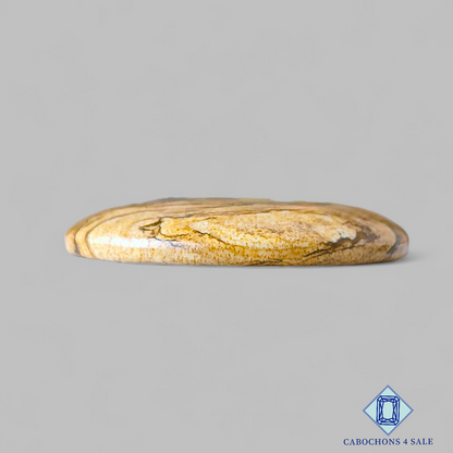 Picture Jasper Round Cabochons