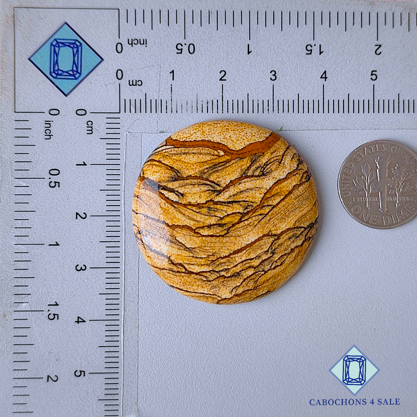 Picture Jasper Round Cabochons