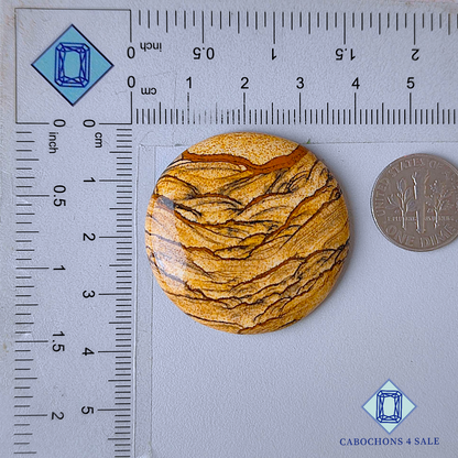 Picture Jasper Round Cabochons