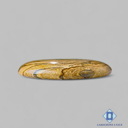 Picture Jasper Round Cabochons