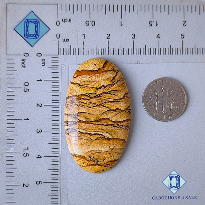 Cabujones ovalados de jaspe con imagen