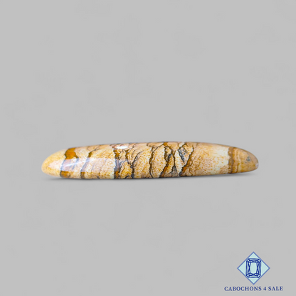 Cabujones ovalados de jaspe con imagen