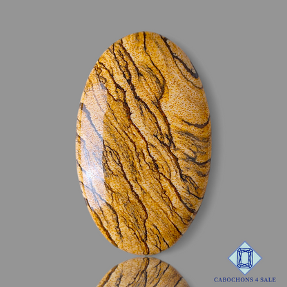 Picture Jasper