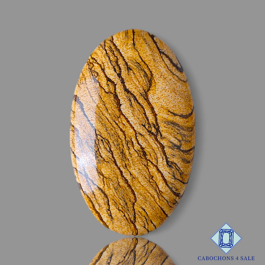 Picture Jasper