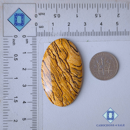 Cabujones ovalados de jaspe con imagen