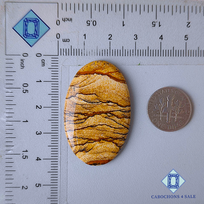 Picture Jasper Oval Cabochons
