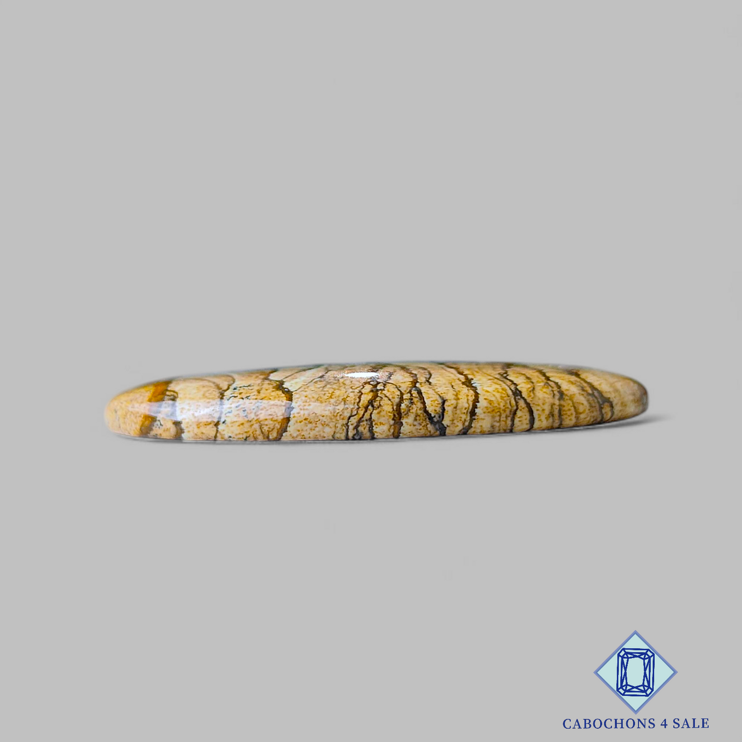 Picture Jasper Oval Cabochons