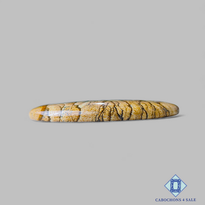 Picture Jasper Oval Cabochons