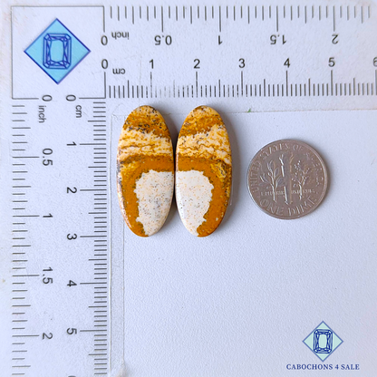 Picture Jasper Oval Pairs