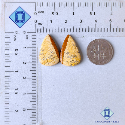 Picture Jasper Pear Pairs