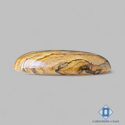 Picture Jasper