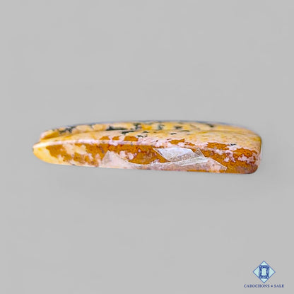 Picture Jasper