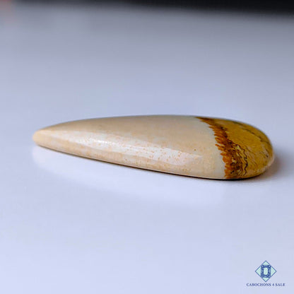 Picture Jasper